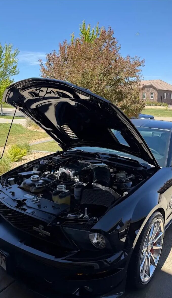 Black Shelby Mustang with the hood open and a clean engine bay in a driveway
